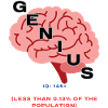 IQ 145plus Genius - Intelligence Quotient