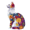 Turkish Angora