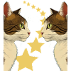 Mirrored Cats