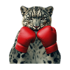 Snow Leopard