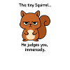 Squirrel of Judgement