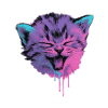 Neon Cat Splash