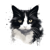 Tuxedo Cat Face