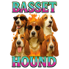 Basset Hound