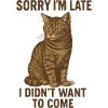 Sorry Cat