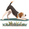 Yogi the Downward Dog