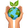 Eco Hands