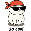 so cool cat