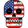 Skull America Flag