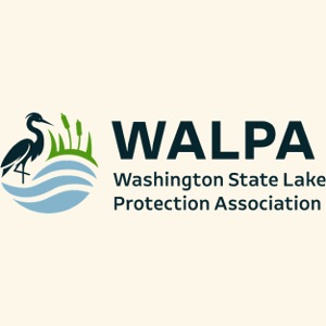 WALPA 1 Full Color 1