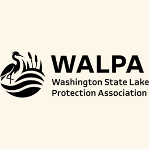 WALPA 1 Black