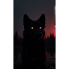 Mysterious Black Wolf at Night