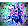 Zombie tentacle Rabbit 