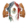 Mexican American Flag Mexican Roots