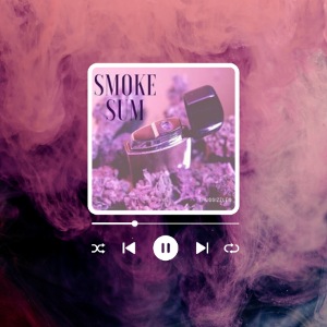 Blue White Basic Ocean Music Player Video Insta