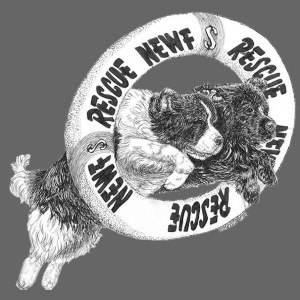 Limited Edition Rescue Design