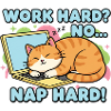 Nap Hard Cat on Laptop