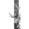 Dove Stripes Mono