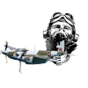 Pilot Mosquito