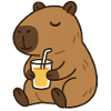 Bear Sips Sunshine