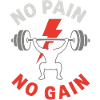 No Pain No Gain Gym