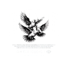 Dove Flight of Hope