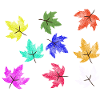 Prismatic Autumn Maple Leaves