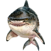 Tiger Shark