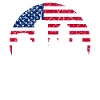 Boston Skyline Flag Emblem