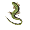 Verdant Salamander Swirl