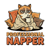 Grumpy Cat Professional Napper