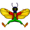 Fly Yogi
