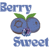 Berry sweet 