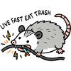 Eat Trash Funny Opossum
