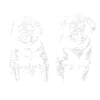 Puppy Halftone Duo
