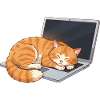 Cozy Tabby on Laptop