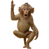 Surprised Monkey Raise Hand