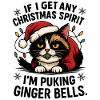 Grumpy Cat in Santa Hat