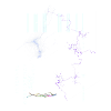 Neon Lightning Skeleton Circuit