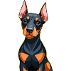 Dobermann dog puppy