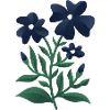 Midnight Blue Bloom Botanical Print