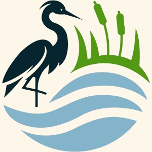 Circular Logo No Background