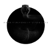 Midnight Coiled Rattlesnake Warning