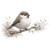 Small Bird in Bloom – Monochrome Woodland