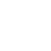 Dinosaur Raptor With Spine Bone