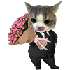 Cat in Suit with Bouquet