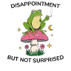 Disappointment But Not Surprised