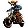 Donkey motorcycle
