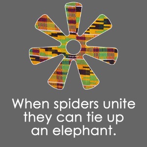 Ananse Ntentan - Spider's Web Adinkra Symbol