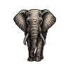 Charcoal Elephant Portrait